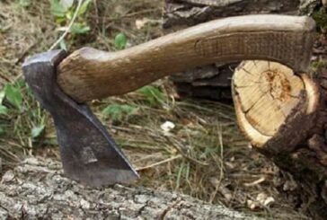 На Тернопільщині поліція спинила автомобіль з незаконно зрубаними деревами із заповідника