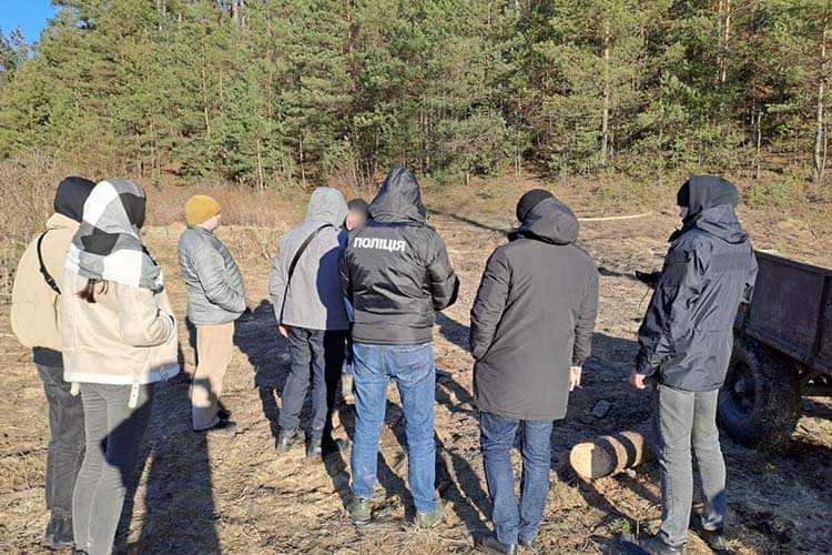 Поліцейські викрили корупціонера в одному з лісгоспів Тернопільщини