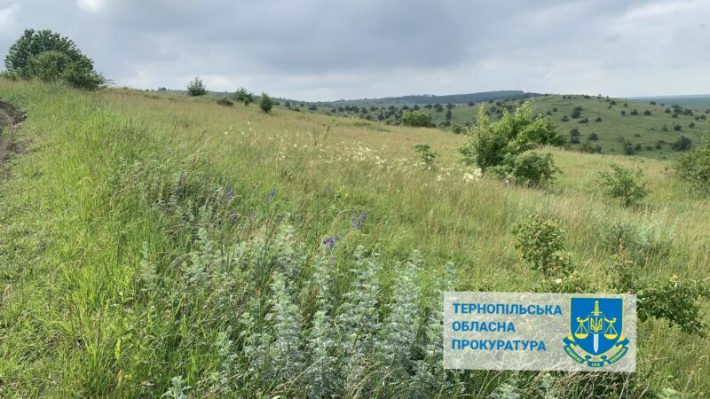 На Тернопільщині вимагають повернути у власність держави землі природно-заповідного фонду вартістю понад 400 млн грн