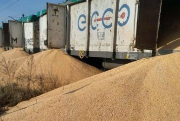 Новий акт вандалізму: у Польщі на залізничній станції висипали 160 тонн українського зерна