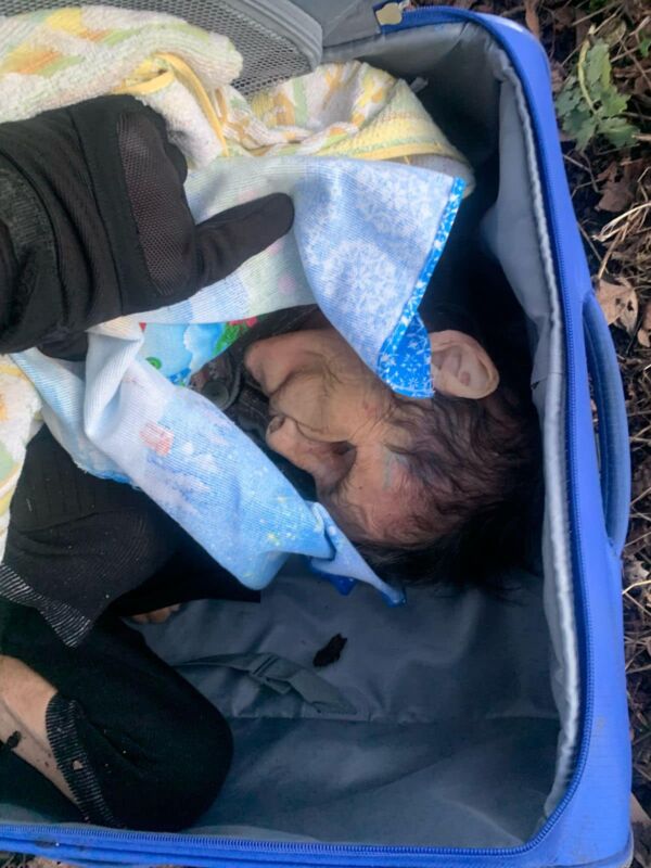 У тернопільському парку знайшли валізу з тілом жінки всередині: фото 18+