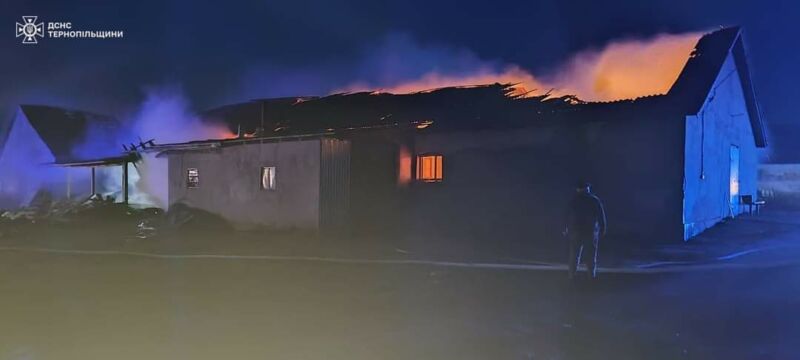 На Тернопільщині загасили масштабну пожежу на тваринницькій фермі