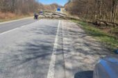 На Тернопільщині шквальний вітер повалив дерева