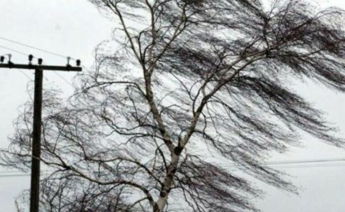 Сильний вітер і можливі грози: на Тернопільщині - штормове попередження