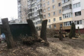 У Тернополі ОСББ відповідатиме у суді за незаконне обрізання дерев: обчикрижили до стовбурів