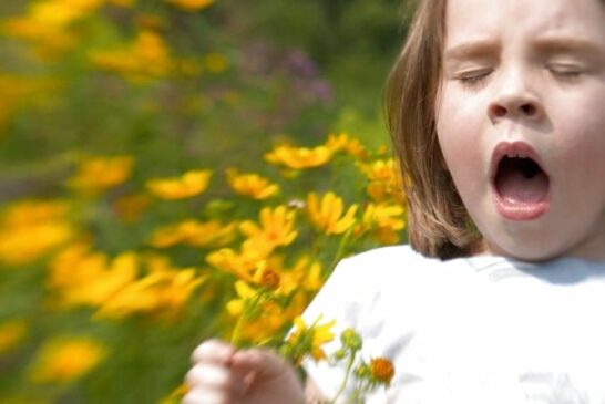 Сезон носовичків та червоних очей: що допоможе впоратися з алергією на пилок?