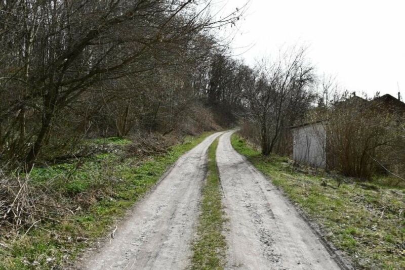 Сексуальне насильство й пограбування: у приміському селі біля Тернополя напали на жінку