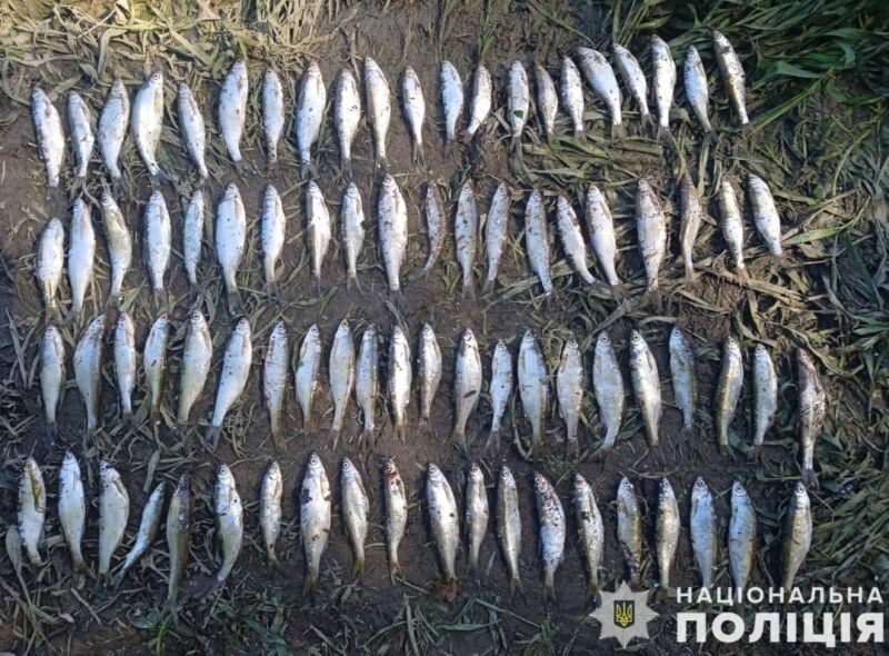 На Тернопільщині затримали браконьєра, який незаконно ловив сітками рибу