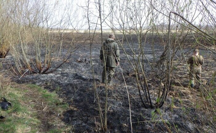 Пожежа у заказнику поблизу Тернополя завдала шкоди майже на 160 тис. грн