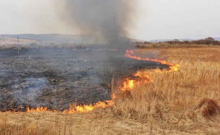 На Тернопільщині цьогоріч виникло 135 пожеж через спалення сухої трави