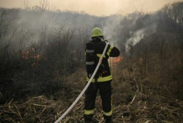 Тернопільські пожежні 11 разів виїжджали гасити суху траву