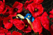 8 травня: День пам’яті та перемоги над нацизмом у Другій світовій війні, Міжнародний день Червоного Хреста