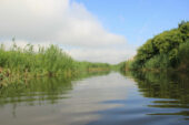 Екозбитки на мільйон: комунальне підприємство на Кременеччині забруднювало річку Іква