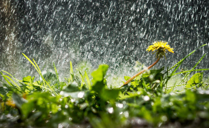У поливаний понеділок на Тернопільщині - дощі та грози