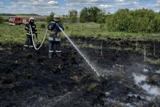 Неподалік Тернополя через спалювання сухої трави загорівся торф