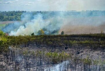 Поліцейські Тернопільщини просять людей не спалювати суху траву й нагадують: у воєнний час це може вважатися диверсією