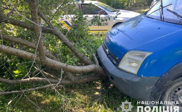 Докатався: п’яний житель Тернопільщини на викраденому «Форді» врізався в дерево