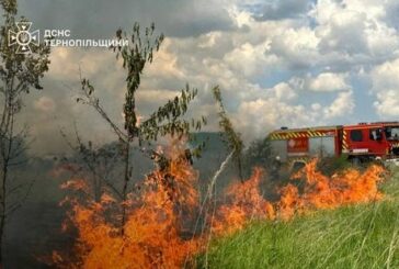 На Тернопільщині могли згоріти 20 гектарів ріпаку та 5 гектарів лісу