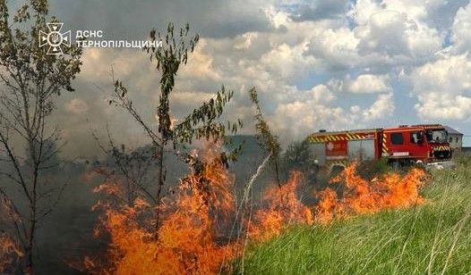 На Тернопільщині могли згоріти 20 гектарів ріпаку та 5 гектарів лісу