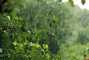 На Тернопільщині дощитиме, можливі грози