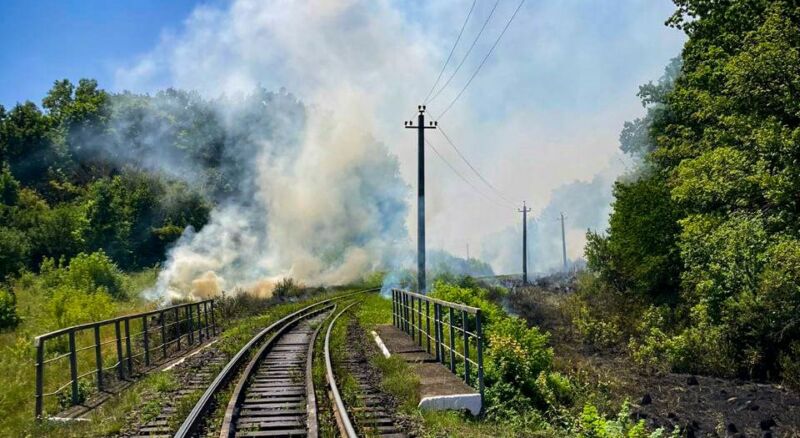 На Тернопільщині через підпал сухої трави могли згоріти 1,5 гектара лісу