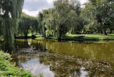 За забруднення парку в Тернополі комунальне підприємство заплатить пів мільйона