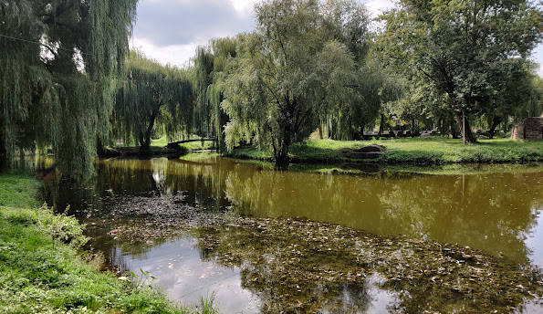 За забруднення парку в Тернополі комунальне підприємство заплатить пів мільйона