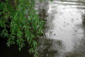 У річці Дністер на Тернопільщині та в сусідніх областях через дощі підвищиться рівень води