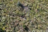 Шукали 10 днів: за допомогою дрона поліцейські виявили тіло безвісти зниклого тернополянина