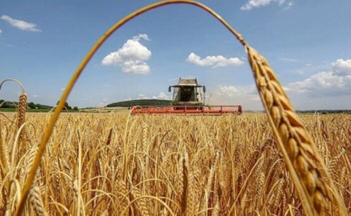 На Тернопільщині намолотили перший мільйон тонн зерна