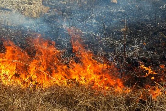 Жителька Чортківщини отримала опіки, намагаючись підпалити суху траву