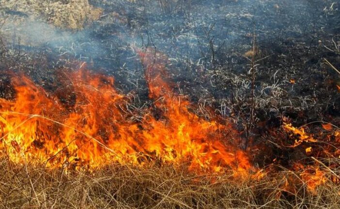 Жителька Чортківщини отримала опіки, намагаючись підпалити суху траву