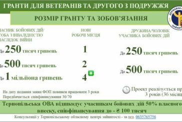 Гранти для ветеранів від центру зайнятості та Тернопільської ОВА: як отримати кошти?