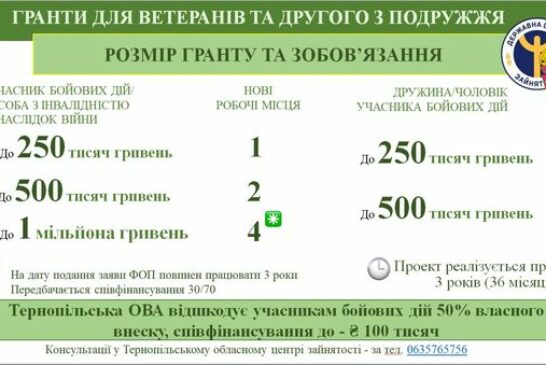 Гранти для ветеранів від центру зайнятості та Тернопільської ОВА: як отримати кошти?