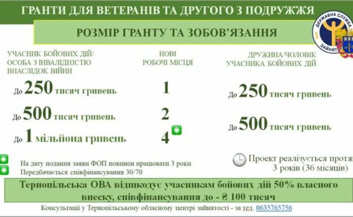 Гранти для ветеранів від центру зайнятості та Тернопільської ОВА: як отримати кошти?