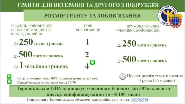 Гранти для ветеранів від центру зайнятості та Тернопільської ОВА: як отримати кошти?