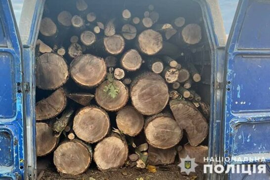 На Тернопільщині затримали жителя Хмельниччини, який перевозив нелегальну деревину