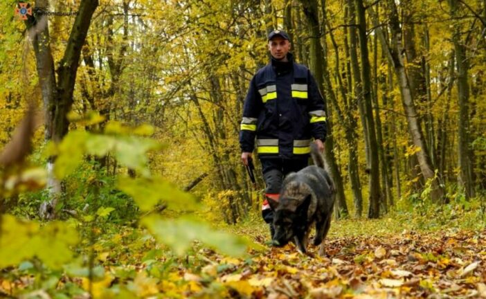 На Тернопільщині третій день шукають пенсіонерку, яка пішла в ліс по гриби та зникла