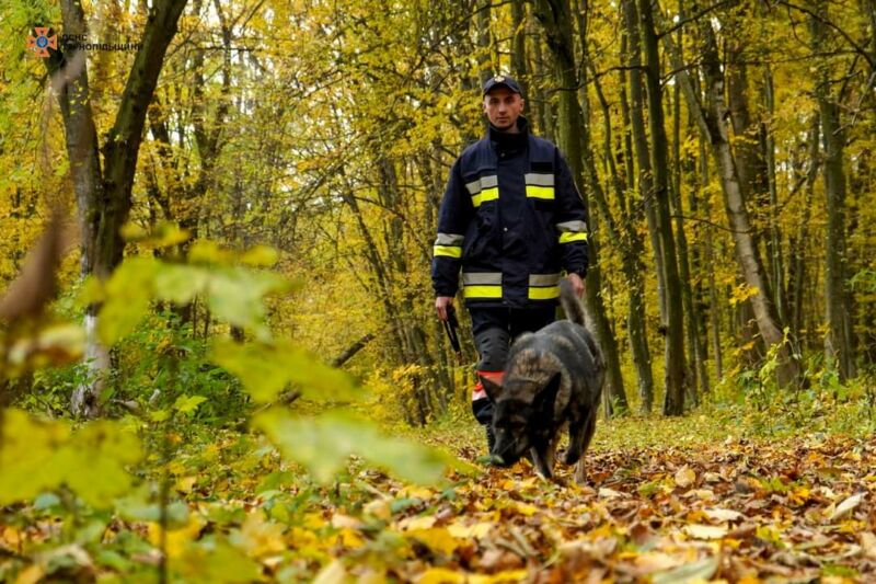 На Тернопільщині третій день шукають пенсіонерку, яка пішла в ліс по гриби та зникла