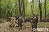 На Тернопільщині судитимуть лісника: що накоїв?