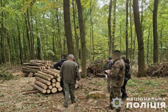 На Тернопільщині судитимуть лісника: що накоїв?