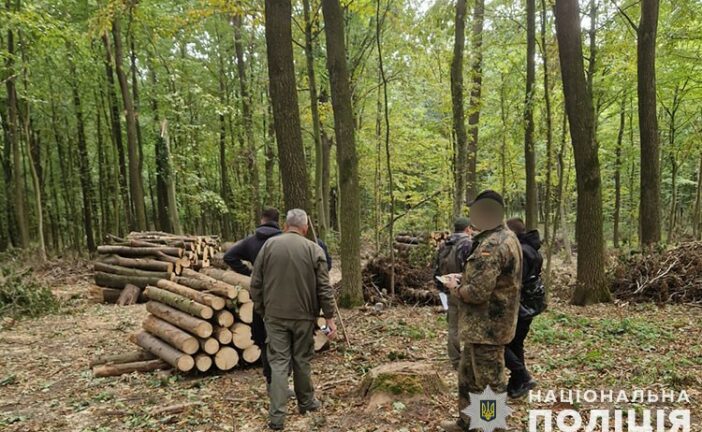 На Тернопільщині судитимуть лісника: що накоїв?