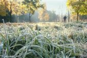 У неділю на Тернопільщині холодно, вранці заморозок