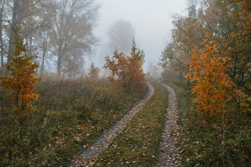 На Тернопільщині – туман і вранці слабка ожеледь: будьте обережні в дорозі