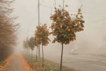 Туманно і вогко сьогодні на Тернопільщині