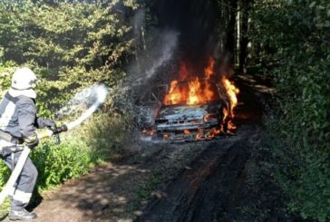 У Тернопільському районі вогонь повністю знищив авто