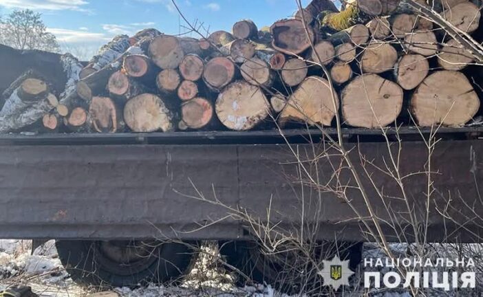 На Тернопільщині четверо чоловіків незаконно вирубували дерева