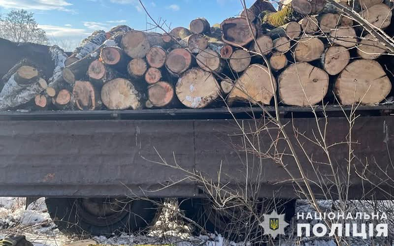 На Тернопільщині четверо чоловіків незаконно вирубували дерева