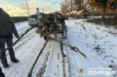 На Тернопільщині чоловіки незаконно рубали «заповідний» ліс та намагалися за хабар відкупитись від криміналу