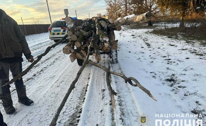 На Тернопільщині чоловіки незаконно рубали «заповідний» ліс та намагалися за хабар відкупитись від криміналу